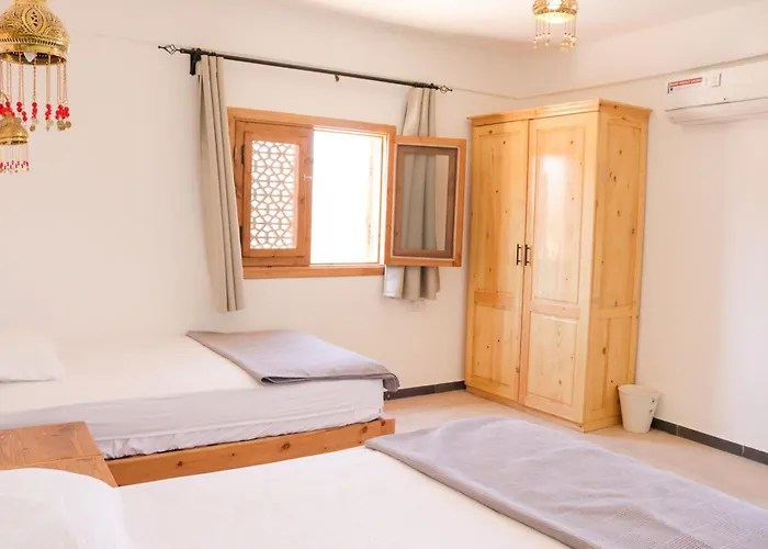 Rafiki Oasis Hostel *