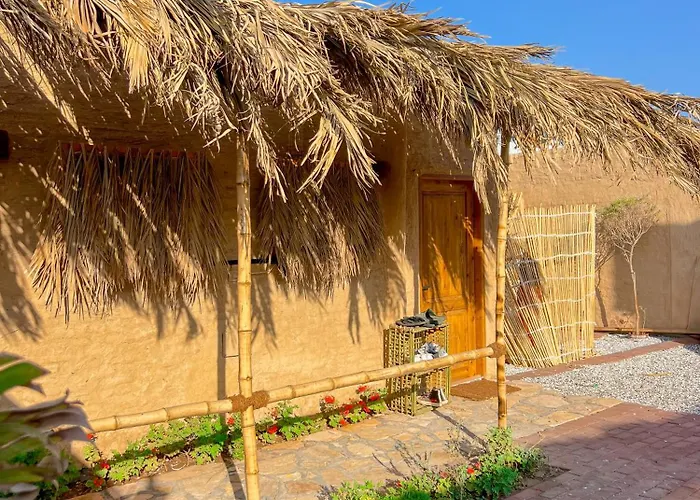 Rafiki Oasis